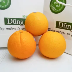 Australian Yellow Orange